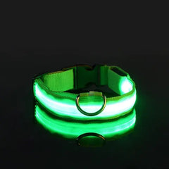 Dog LED Collar