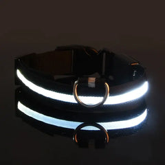 Dog LED Collar