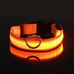 Dog LED Collar