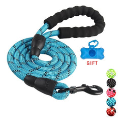 Dog Leash