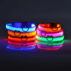 Dog LED Collar