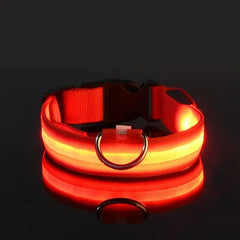 Dog LED Collar