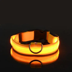 Dog LED Collar