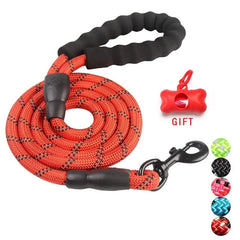 Dog Leash