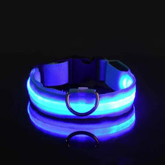 Dog LED Collar