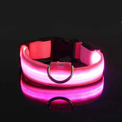 Dog LED Collar